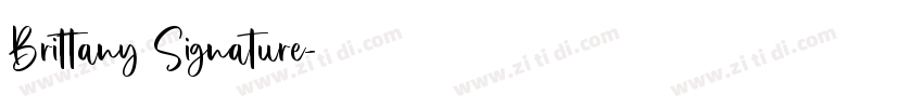 Brittany Signature字体字体转换 Brittany Signature字体字体转换